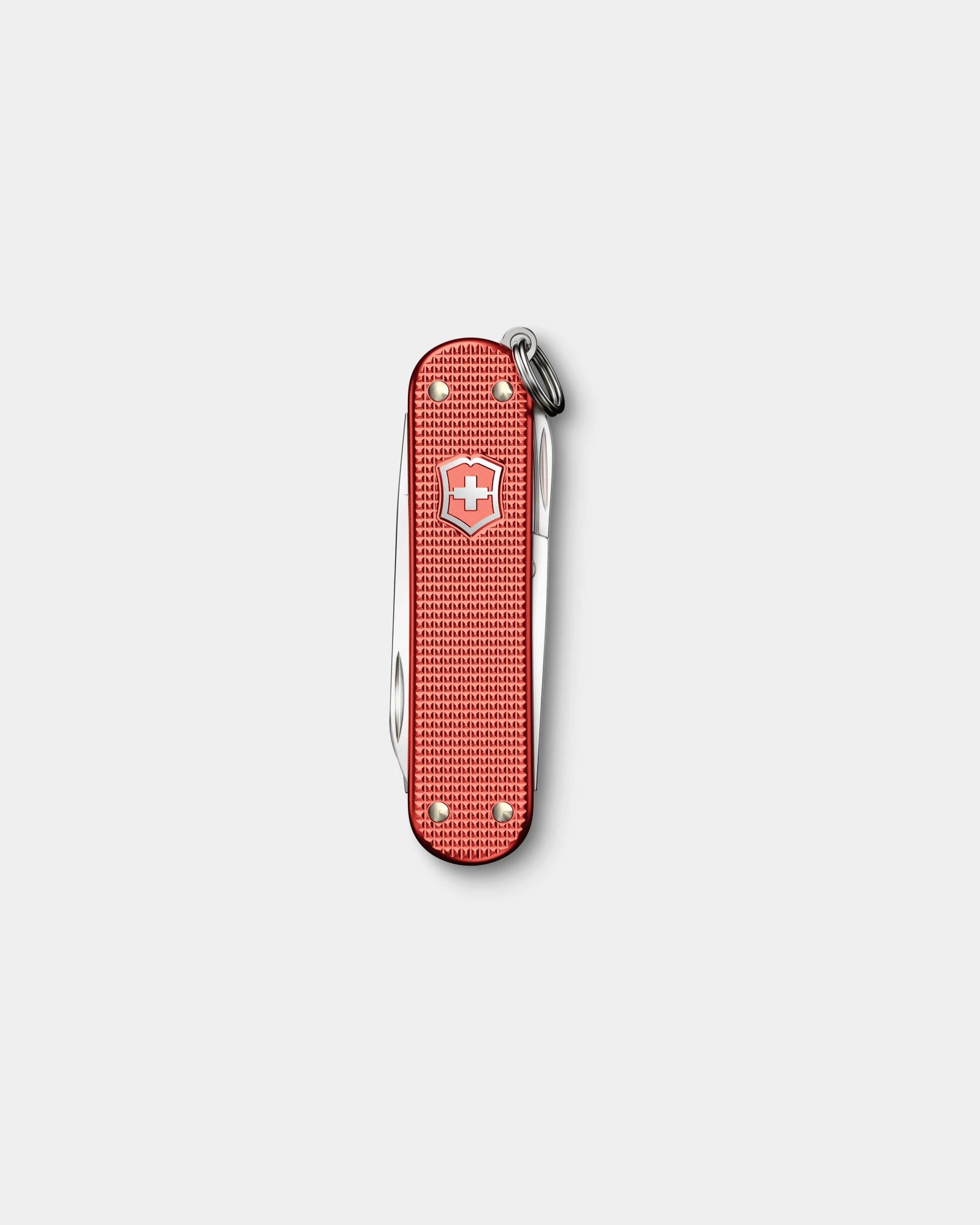Schweizer Taschenmesser Victorinox Classic SD Alox 2025 zum Personalisieren - 3