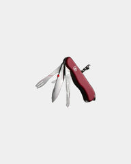 Käsemesser Victorinox Cheese Master zum Personalisieren - 5