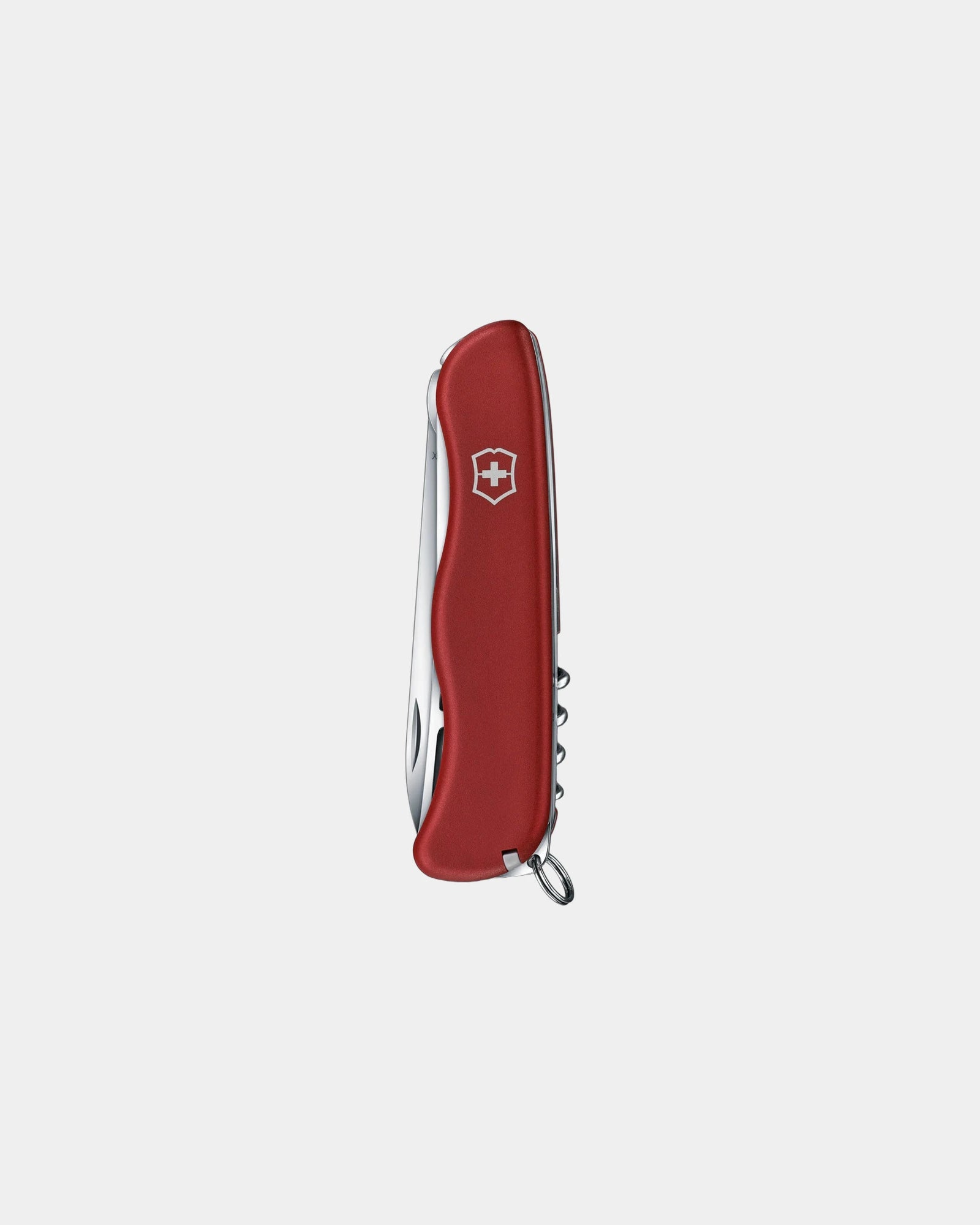 Käsemesser Victorinox Cheese Master zum Personalisieren - 3