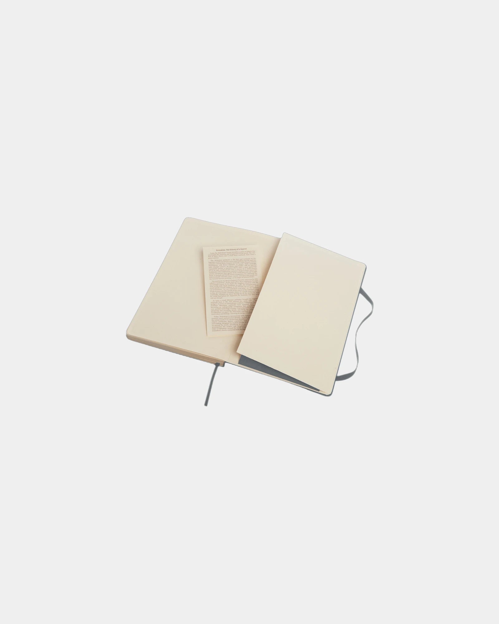 Notizbuch Moleskine Classic L zum Personalisieren - 8