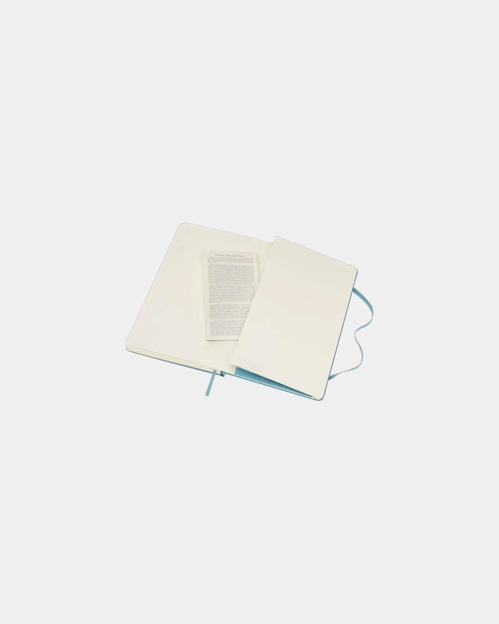Notizbuch Moleskine Classic L zum Personalisieren - 20