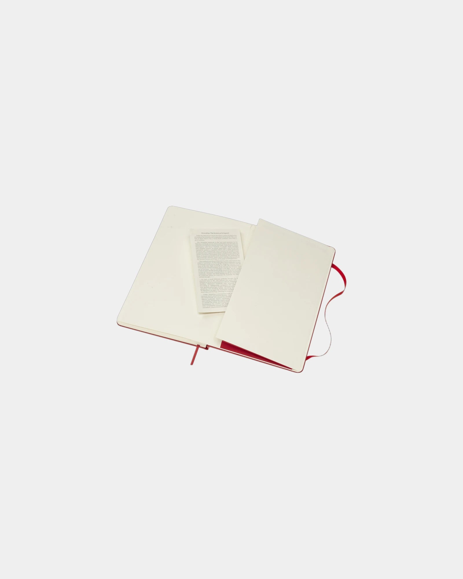 Notizbuch Moleskine Classic L zum Personalisieren - 25