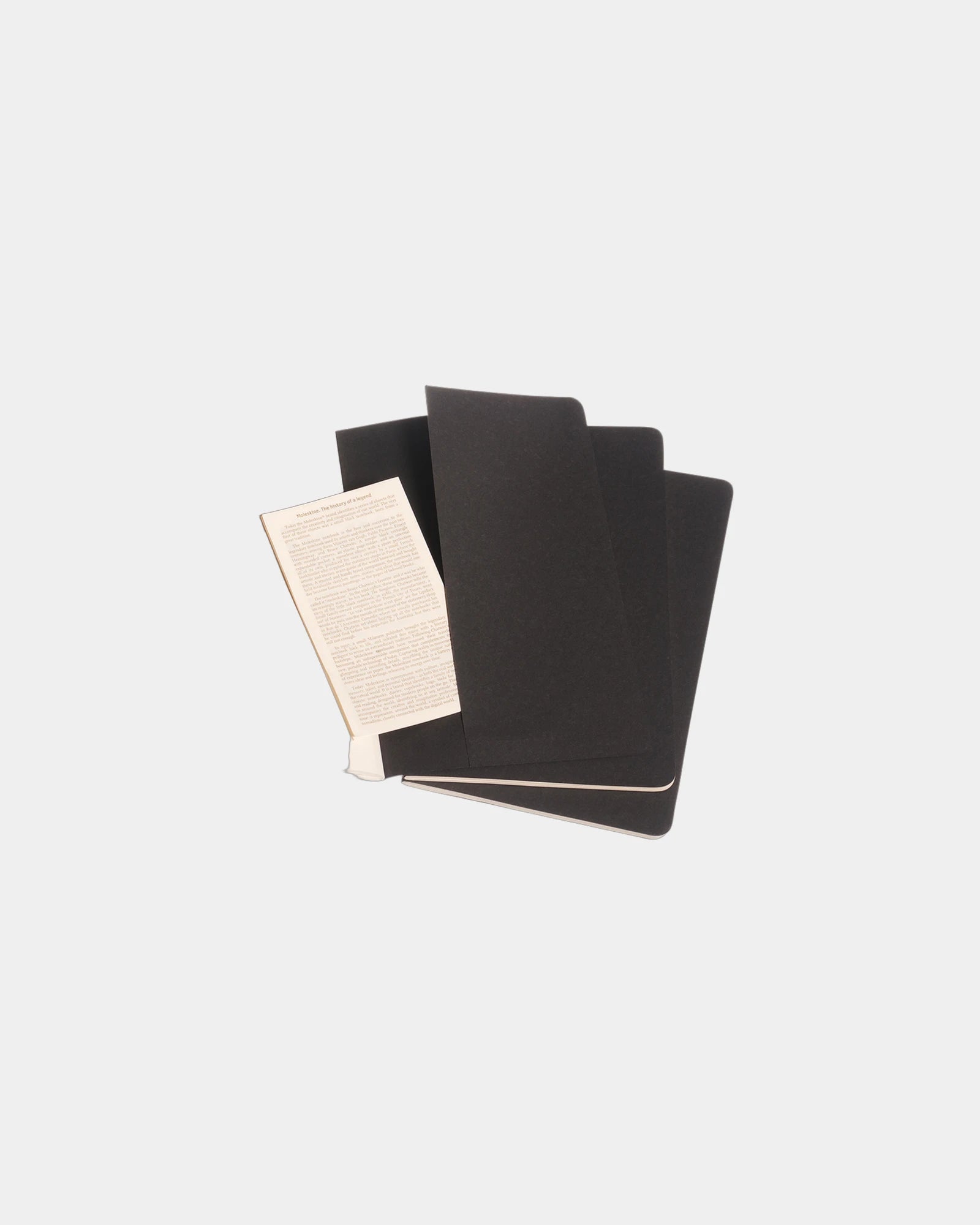 Notizbuch Moleskine Karton 21 x 13 cm zum Personalisieren - 2