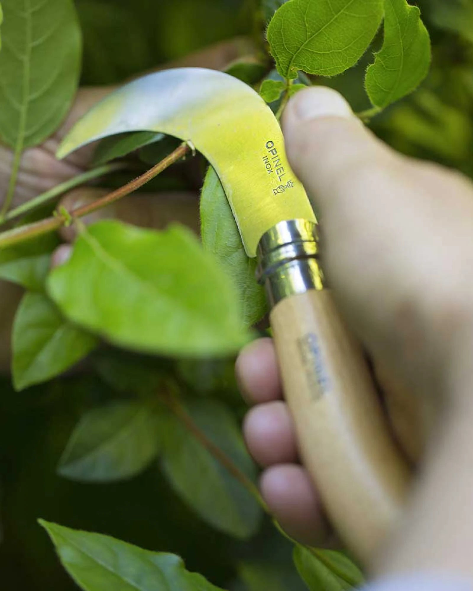 Gartenwerkzeug Edelstahl Opinel Serpette N°10 zum Personalisieren - 2