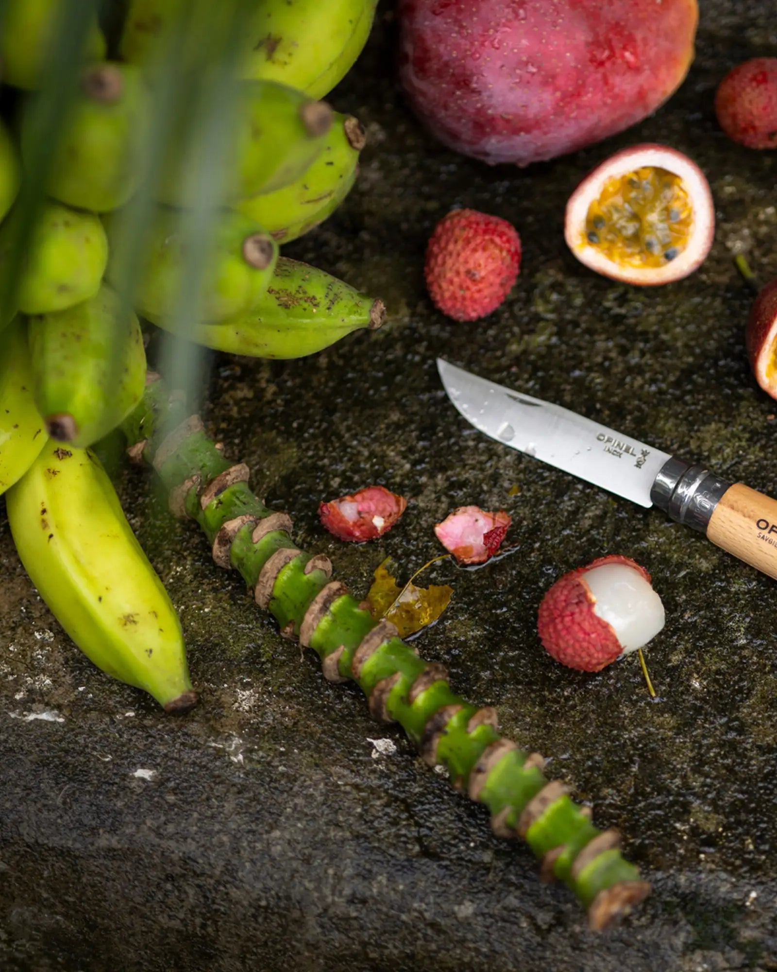 Messer Edelstahl Opinel N°06 Baroudeur zum Personalisieren - 9