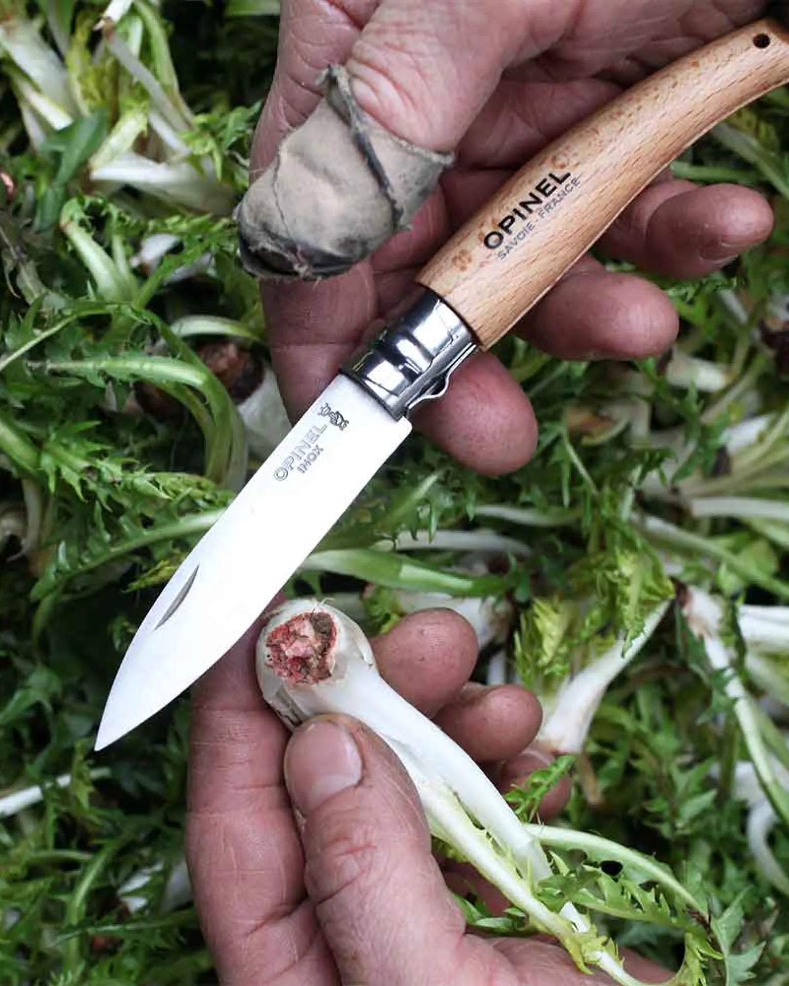 Gartenwerkzeug Edelstahl Opinel N°08 zum Personalisieren - 4