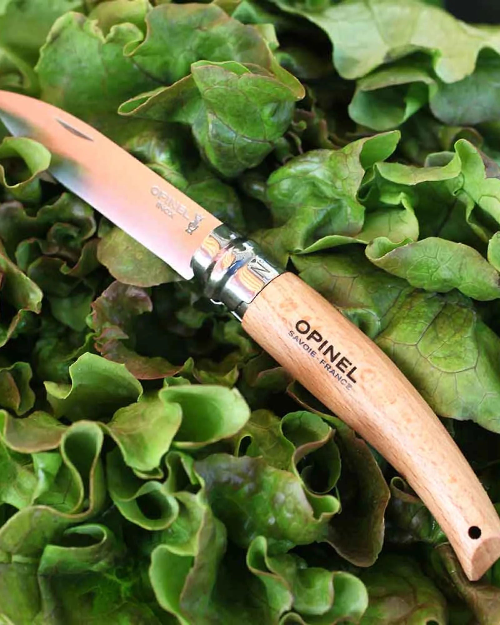 Gartenwerkzeug Edelstahl Opinel N°08 zum Personalisieren - 5
