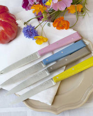 Tischmesser martensitischer Edelstahl Opinel zum Personalisieren - 3