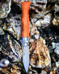 Küchenmesser Edelstahl Opinel N°09 zum Personalisieren - 2