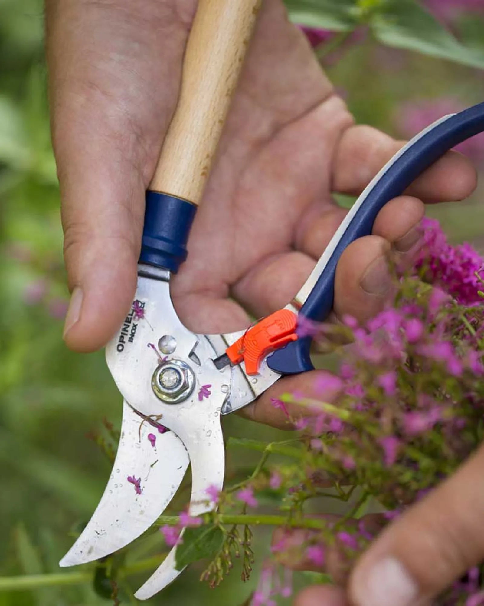 Gartenschneider aus Edelstahl Opinel zu personalisieren zum Personalisieren - 6