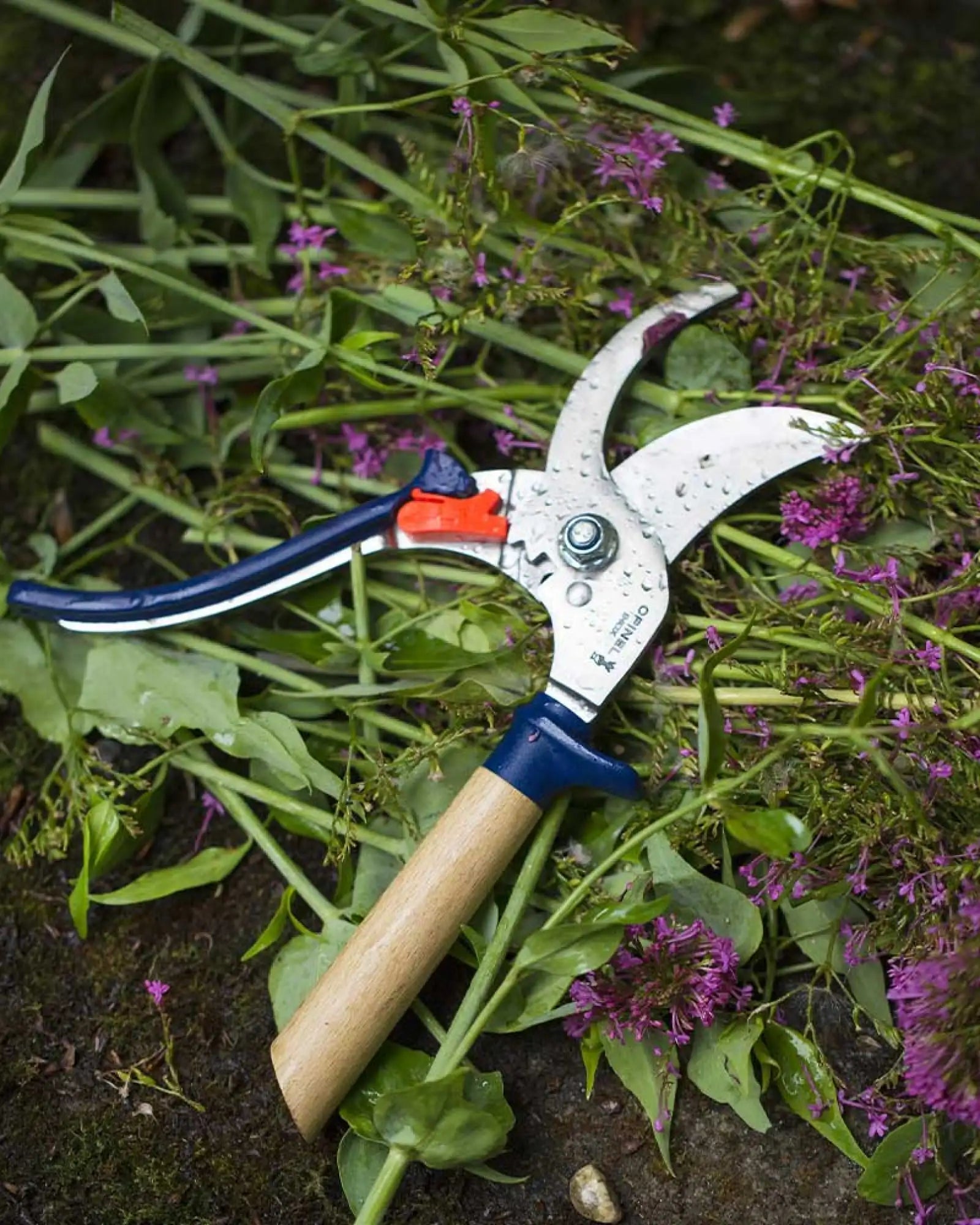 Gartenschneider aus Edelstahl Opinel zu personalisieren zum Personalisieren - 5