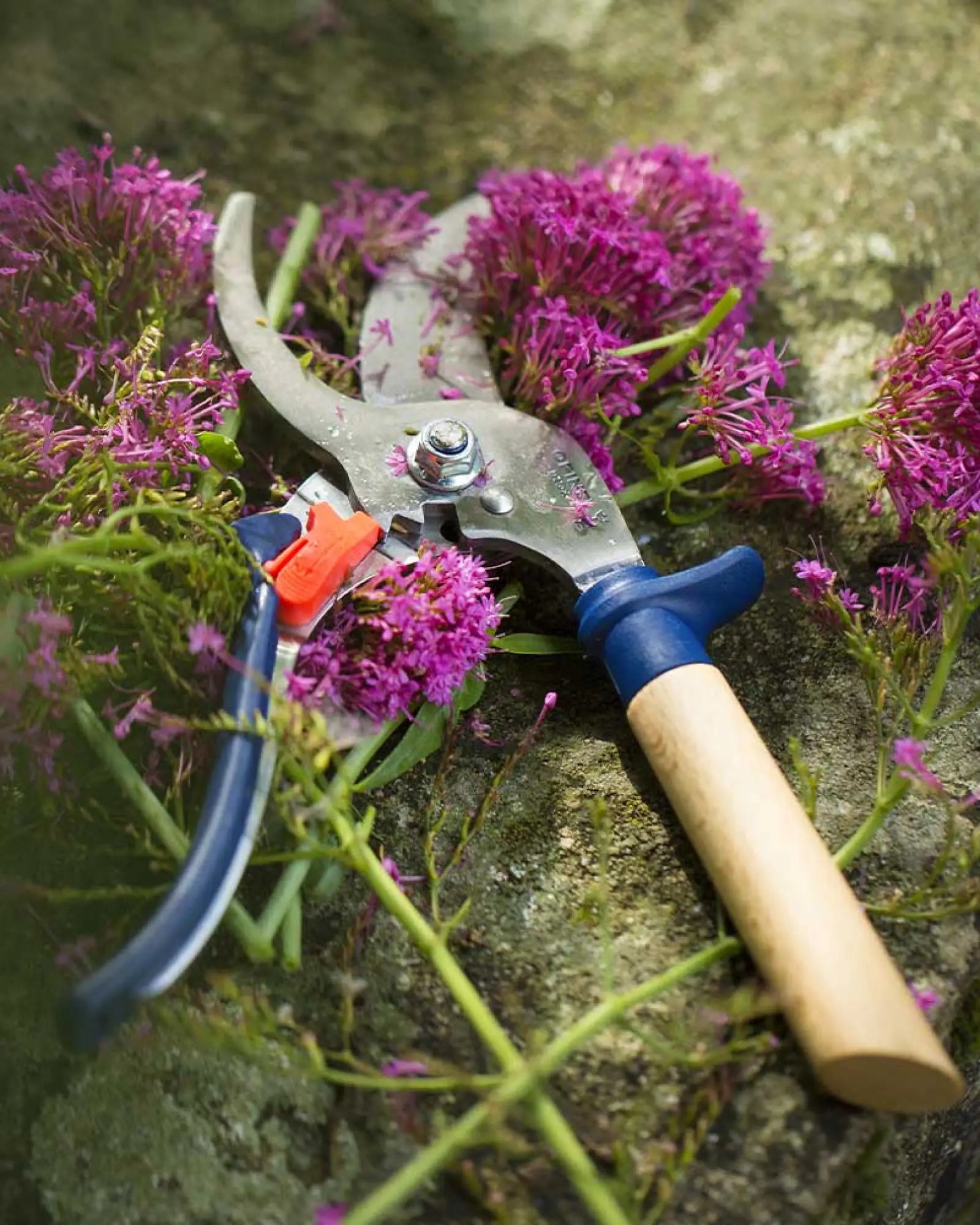 Gartenschneider aus Edelstahl Opinel zu personalisieren zum Personalisieren - 3