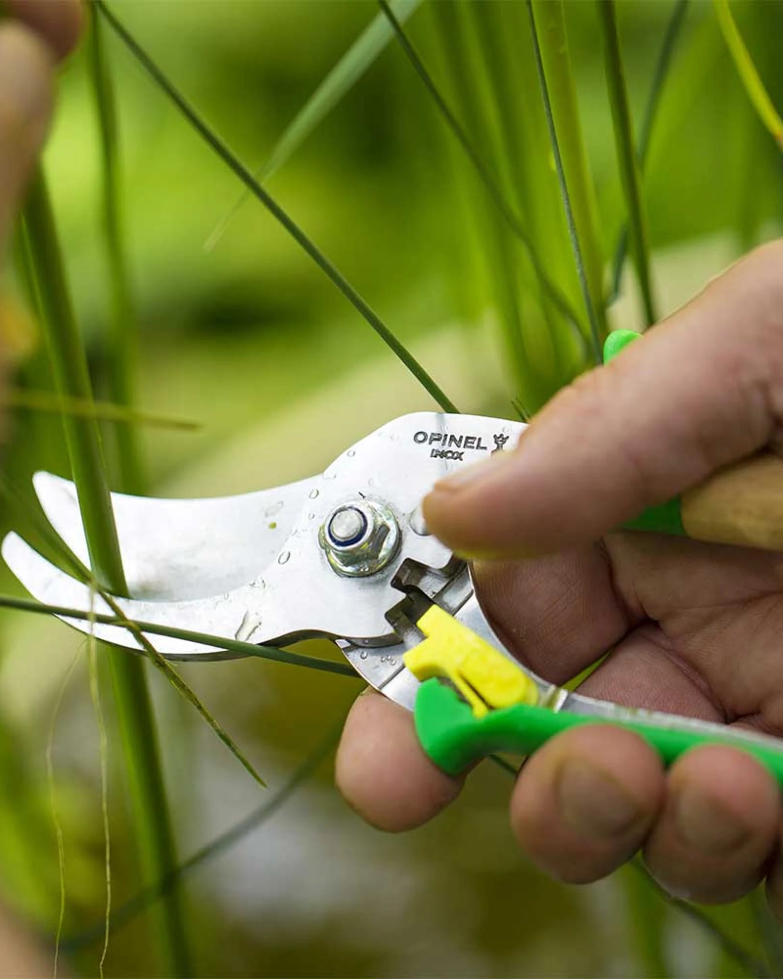 Gartenwerkzeug Edelstahl Opinel Gartenschneider zum Personalisieren - 6