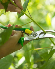Gartenwerkzeug Edelstahl Opinel Gartenschneider zum Personalisieren - 8