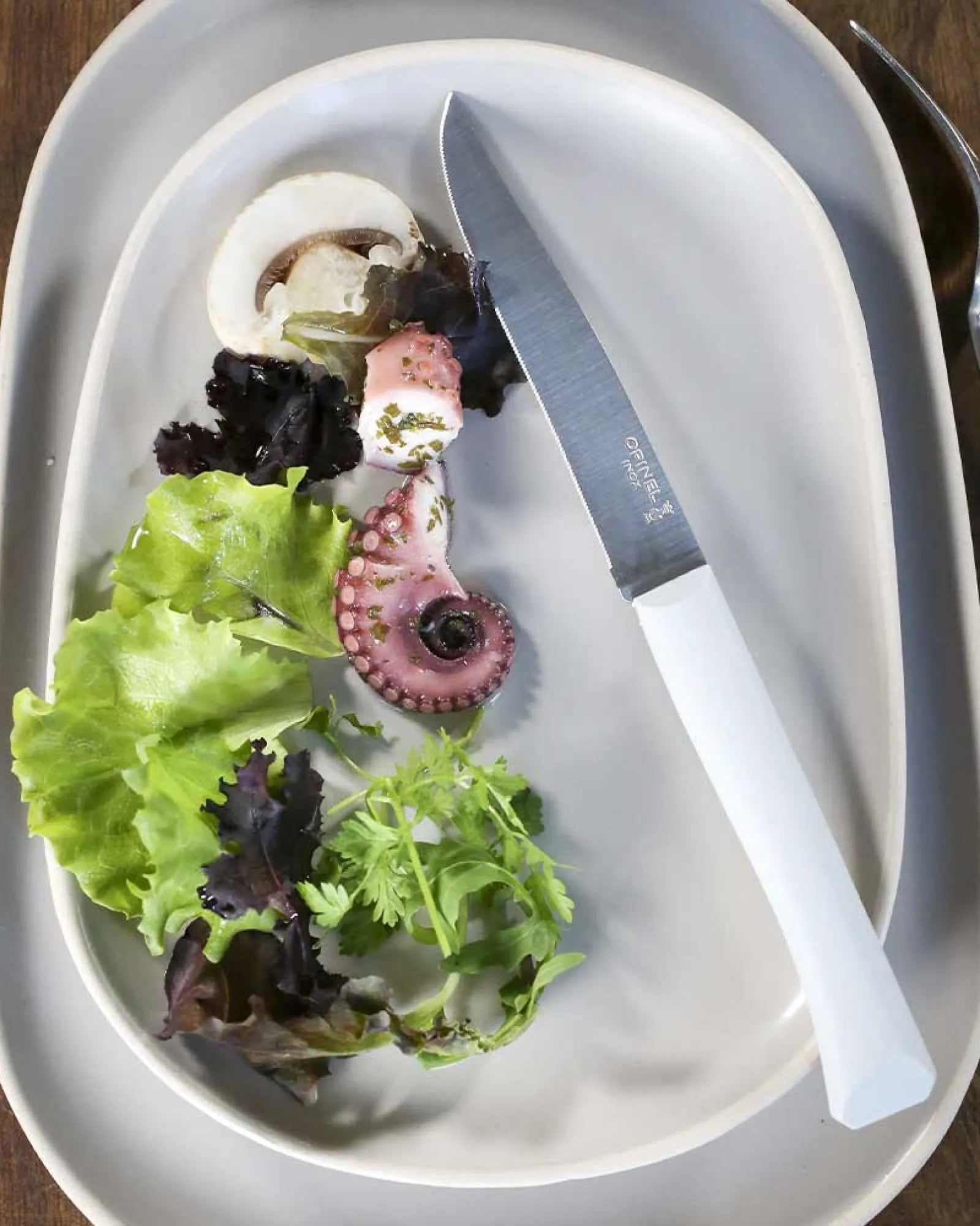 Tischmesser Edelstahl Opinel Guten Appetit + zum Personalisieren - 1