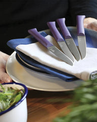 Tischmesser Edelstahl Opinel Guten Appetit + zum Personalisieren - 11