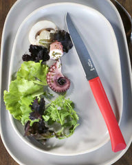 Tischmesser Edelstahl Opinel Guten Appetit + zum Personalisieren - 7