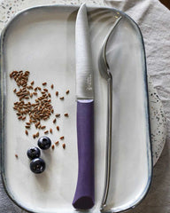 Tischmesser Edelstahl Opinel Guten Appetit + zum Personalisieren - 10