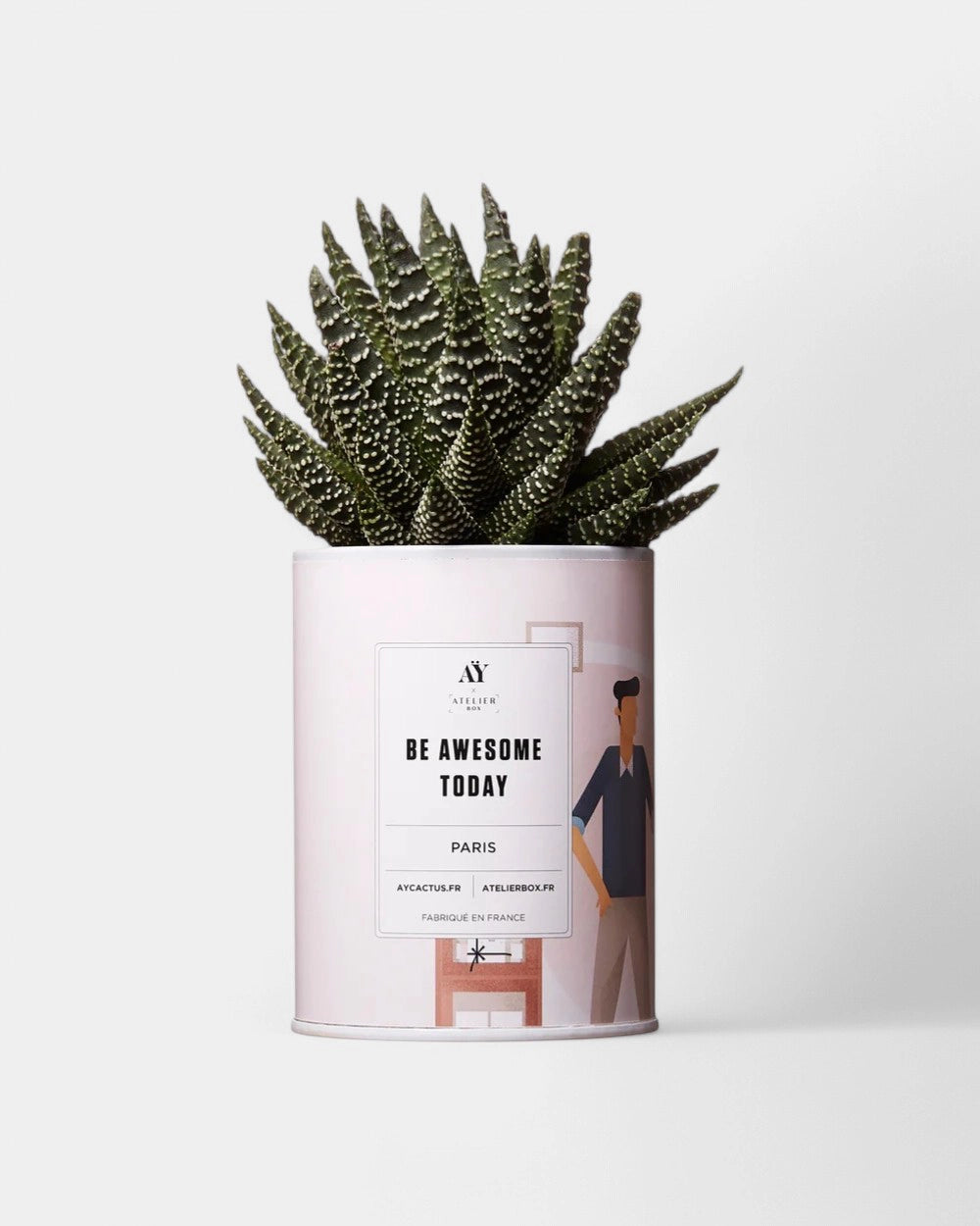 Zu 100% personalisierbarer Kaktus - Ay Cactus - 2
