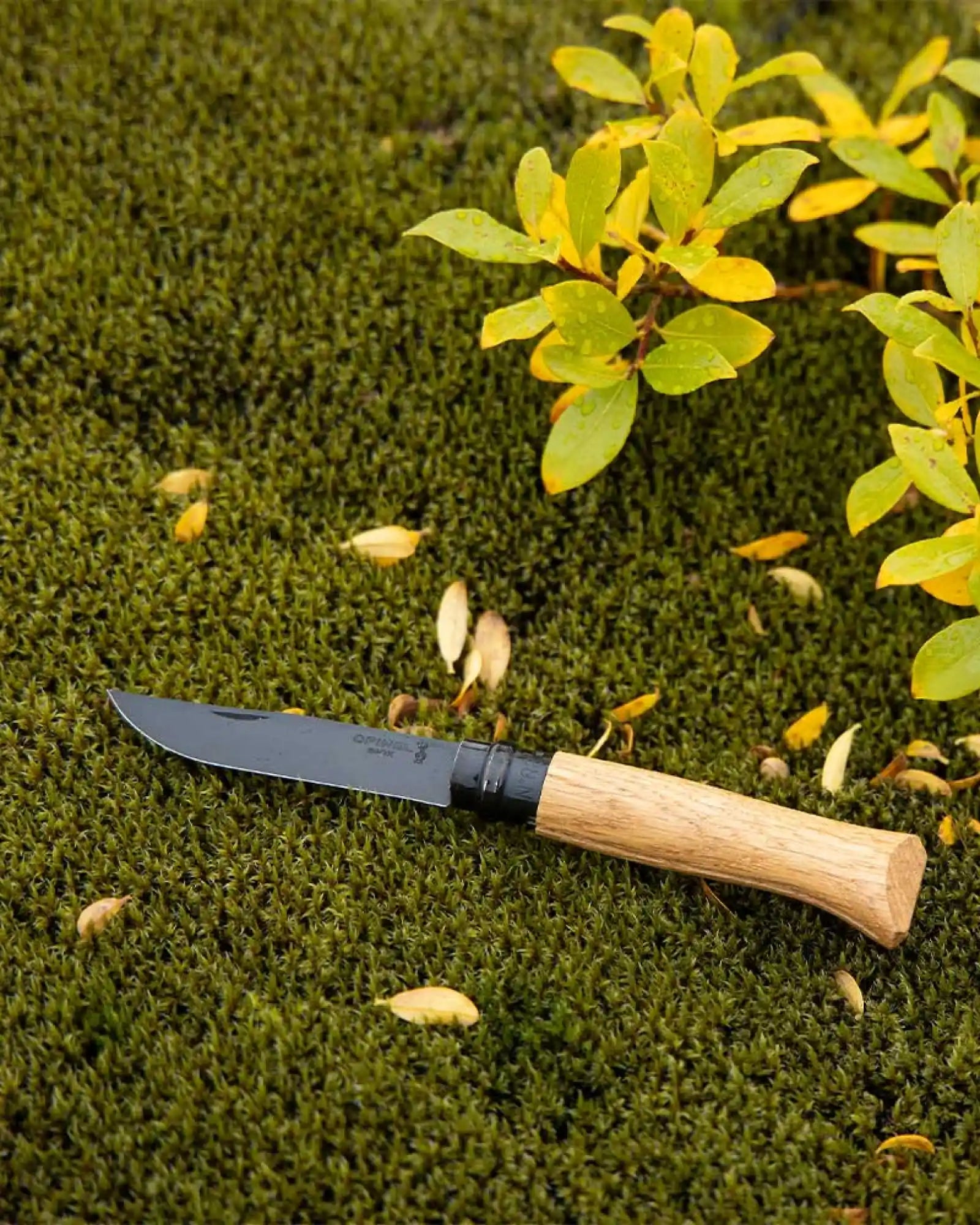 Küchenmesser Edelstahl Opinel N°08 Eiche Black zum Personalisieren - 6