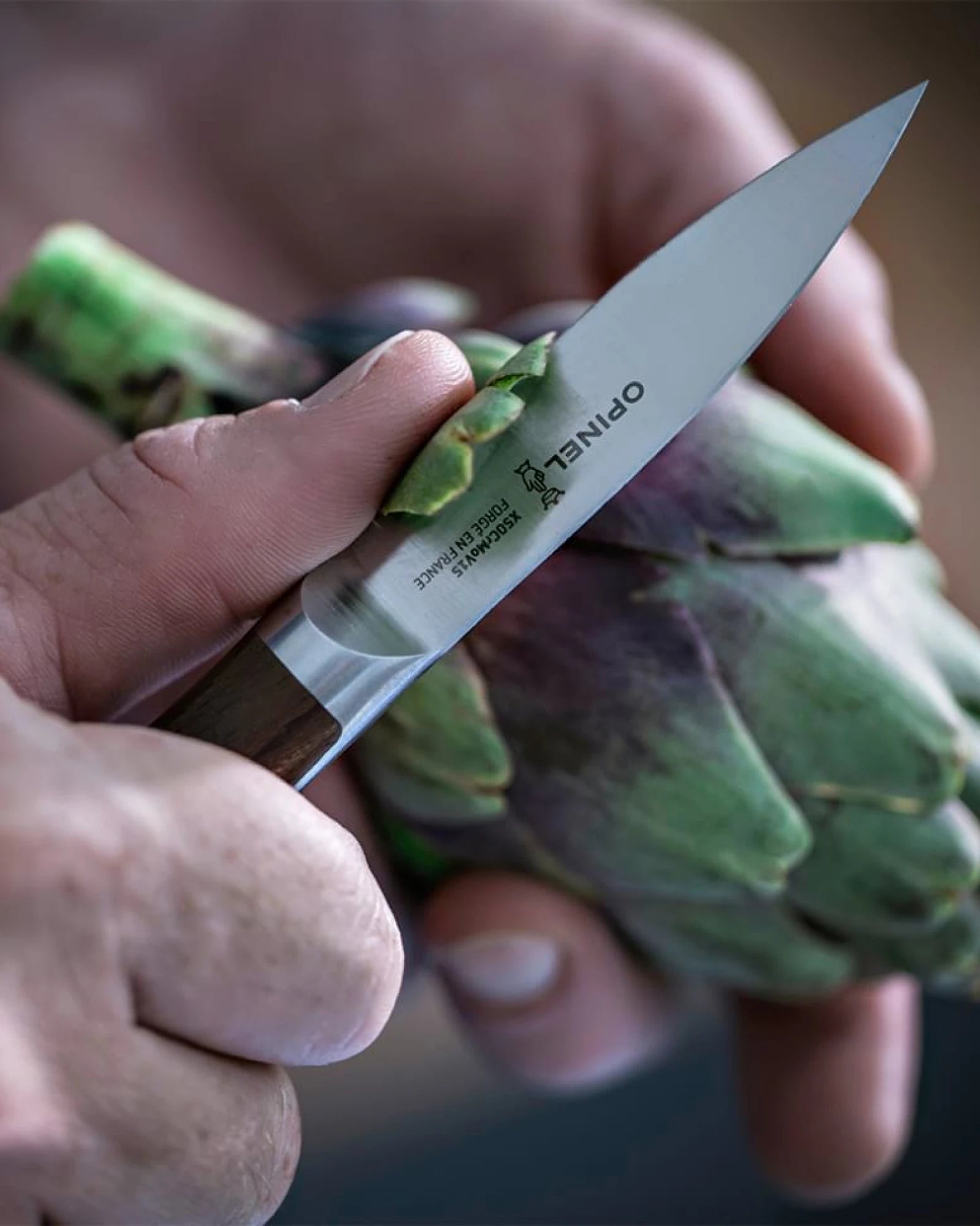 Küchenmesser Edelstahl Opinel Les 1890 zum Personalisieren - 3