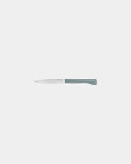 Tischmesser Edelstahl Opinel Guten Appetit + Tempête zum Personalisieren - 2