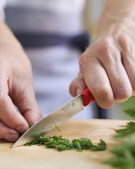 Küchenmesser Edelstahl Opinel N°312 + zum Personalisieren - 12