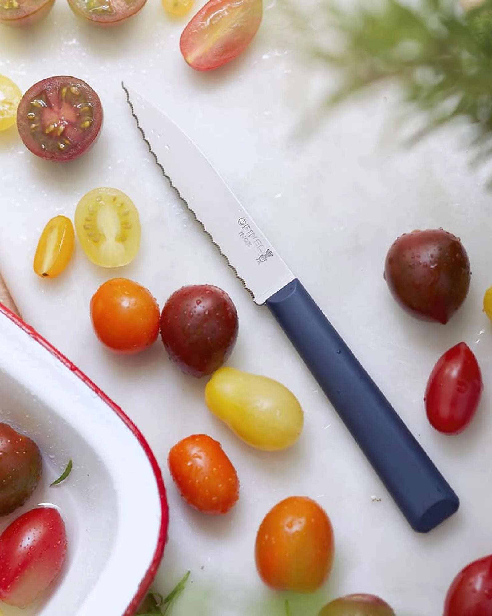 Messer N°313 Opinel zum Personalisieren - 2