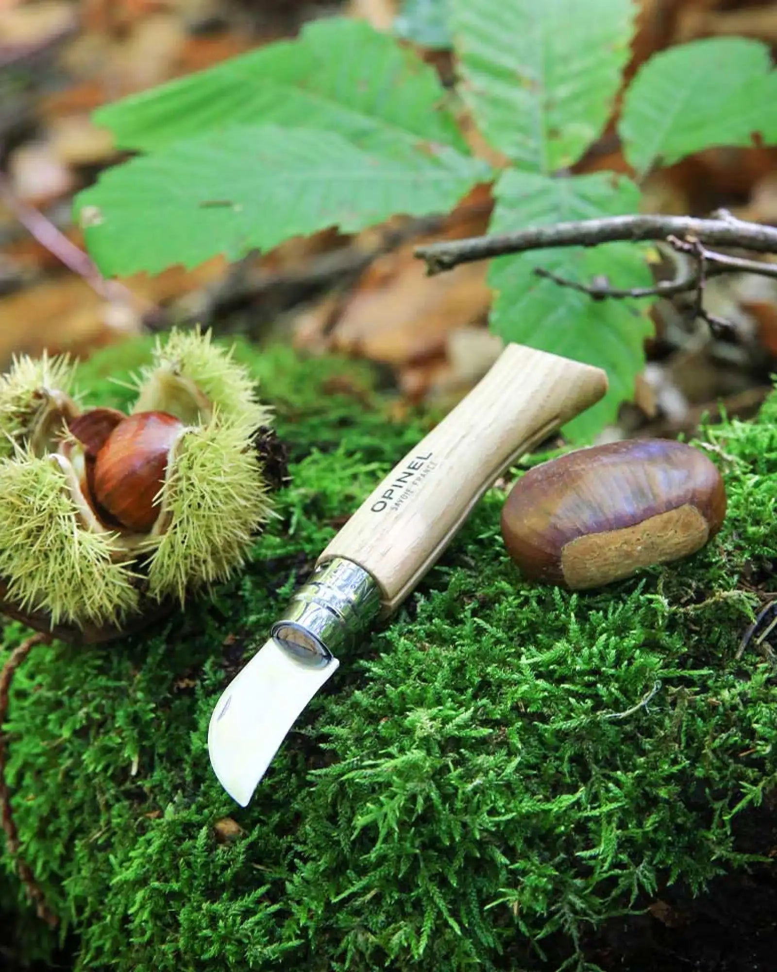 Küchenmesser Edelstahl Opinel N°07 zum Personalisieren - 6