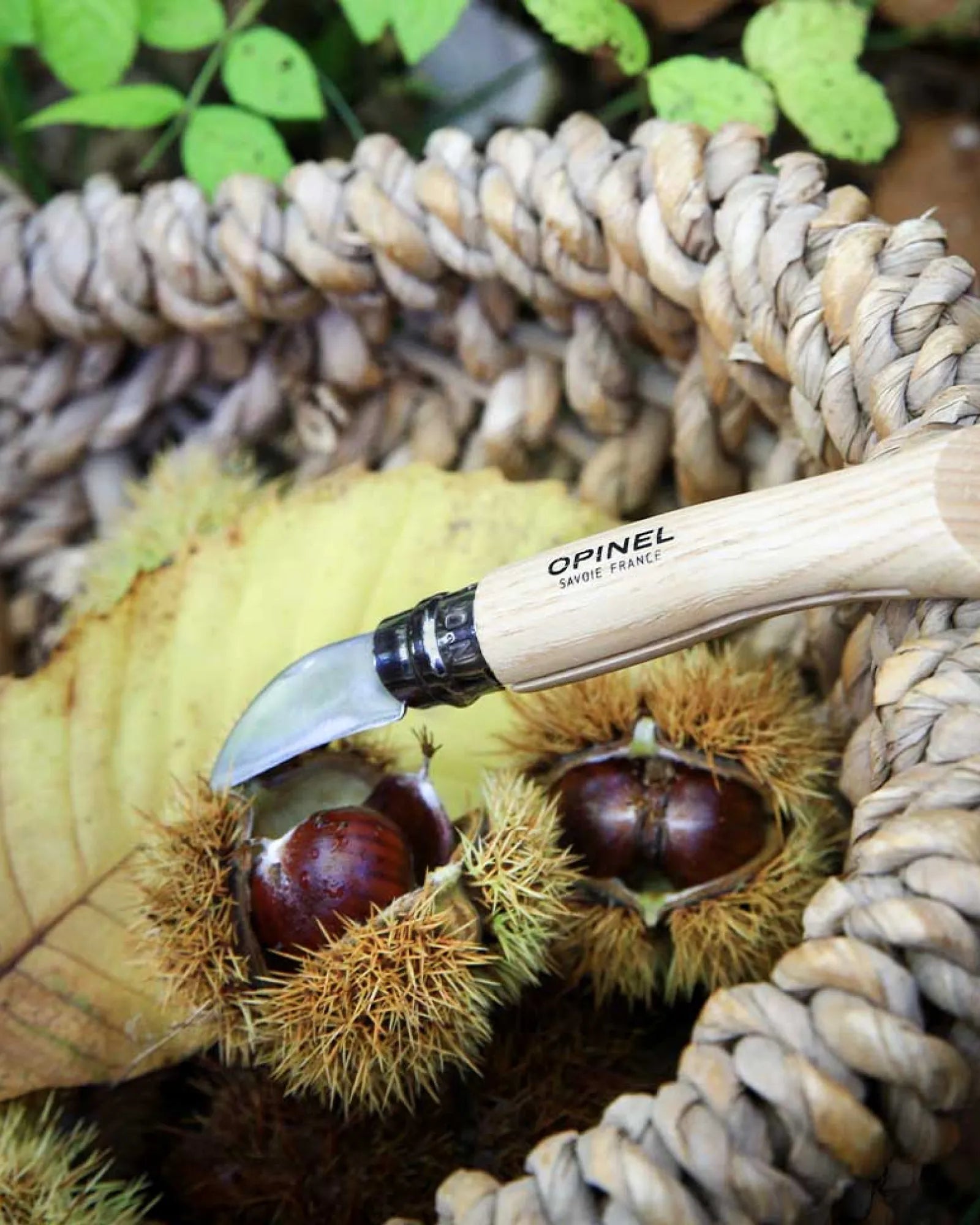 Küchenmesser Edelstahl Opinel N°07 zum Personalisieren - 3