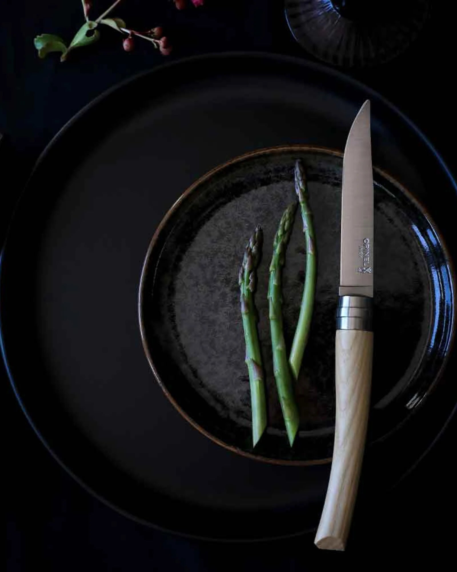 Tischmesser Edelstahl Opinel Facette 10 cm zum Personalisieren - 17