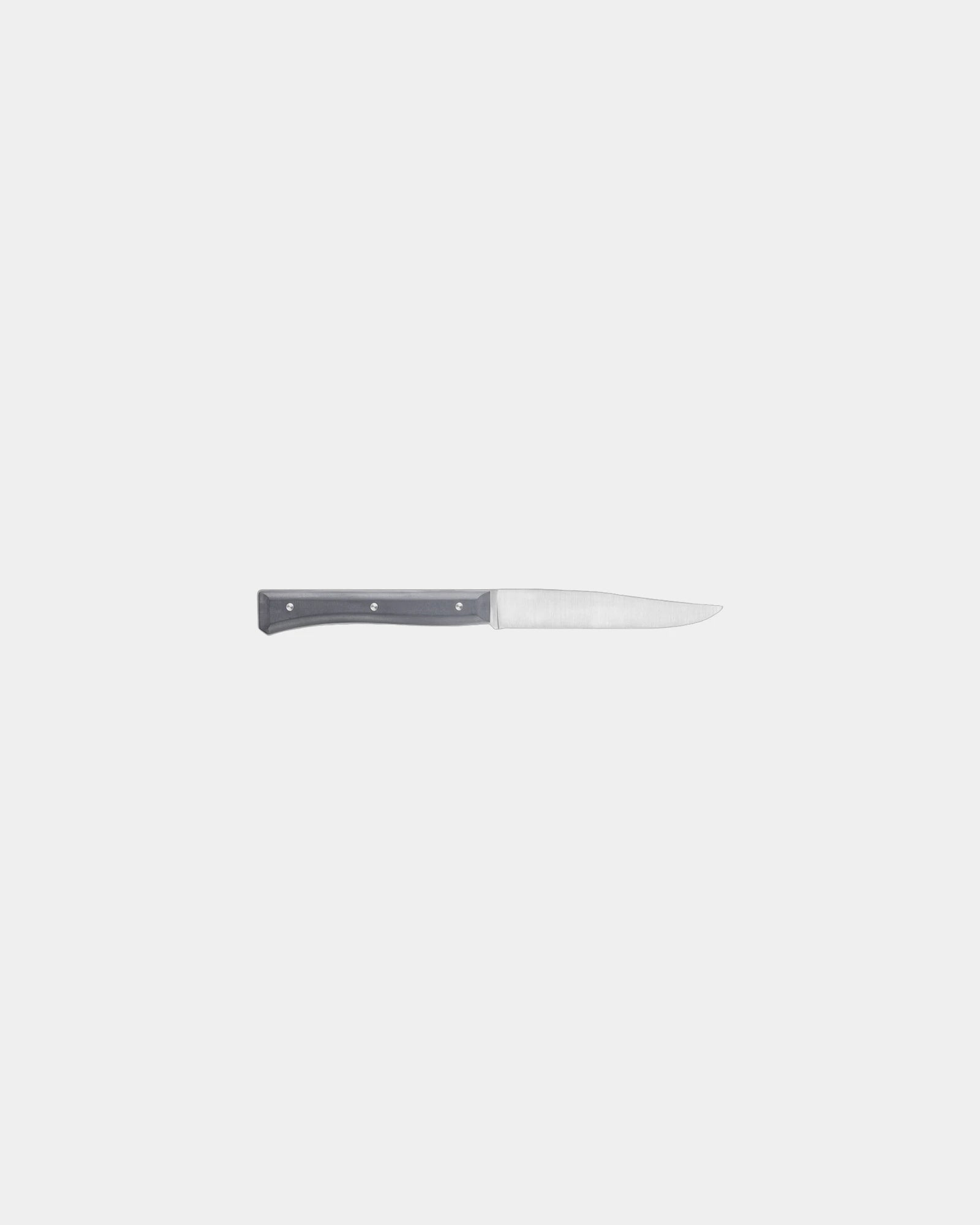 Tischmesser Edelstahl Opinel Facette 11 cm zum Personalisieren - 18