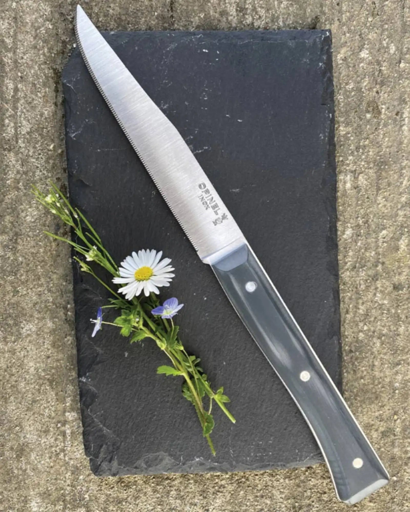 Tischmesser Edelstahl Opinel Facette 11 cm zum Personalisieren - 20