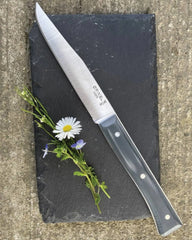 Tischmesser Edelstahl Opinel Facette 11 cm zum Personalisieren - 20