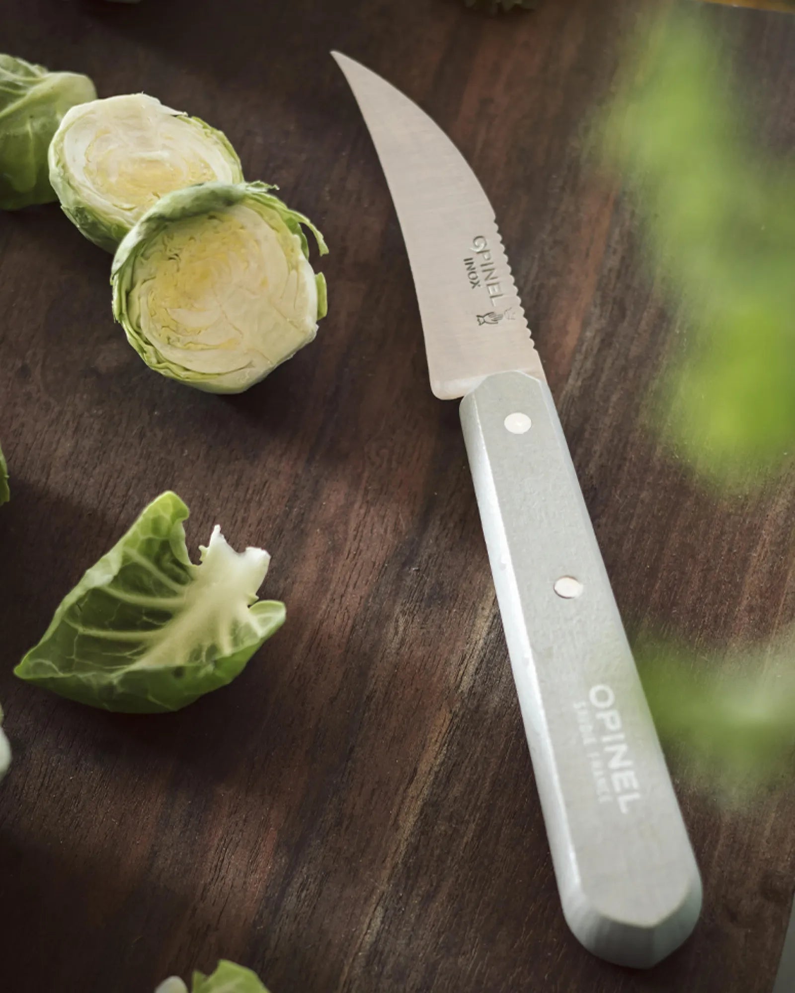 Coffret Les Essentiels Primo Opinel zum Personalisieren - 6