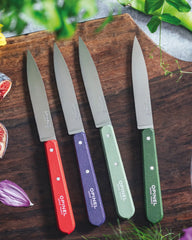 Coffret de 4 Couteaux Edelstahl Opinel zum Personalisieren - 2