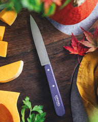 Coffret de 4 Couteaux Edelstahl Opinel zum Personalisieren - 6