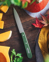 Coffret de 4 Couteaux Edelstahl Opinel zum Personalisieren - 5