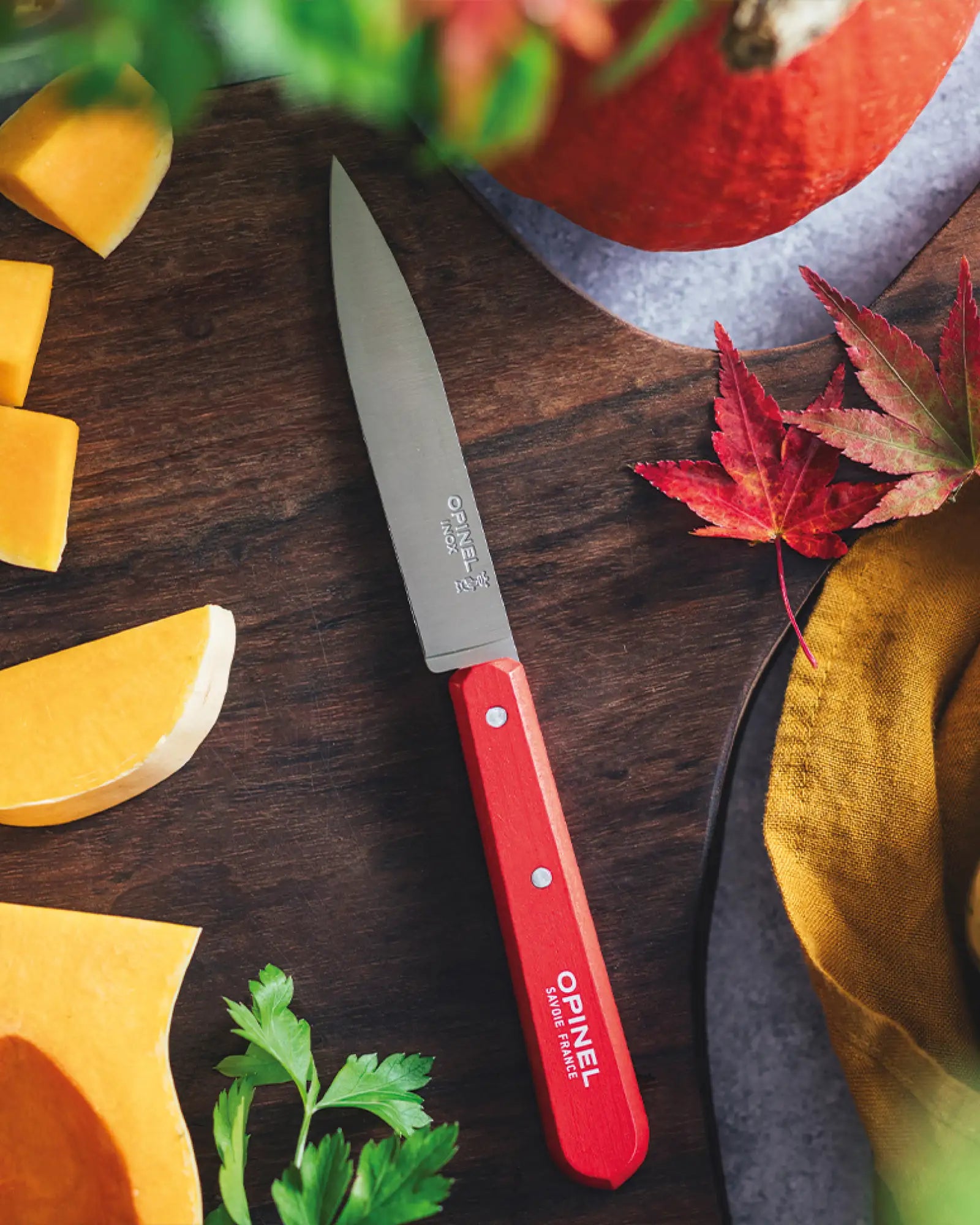 Coffret de 4 Couteaux Edelstahl Opinel zum Personalisieren - 3