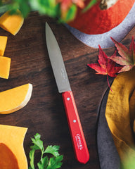 Coffret de 4 Couteaux Edelstahl Opinel zum Personalisieren - 3