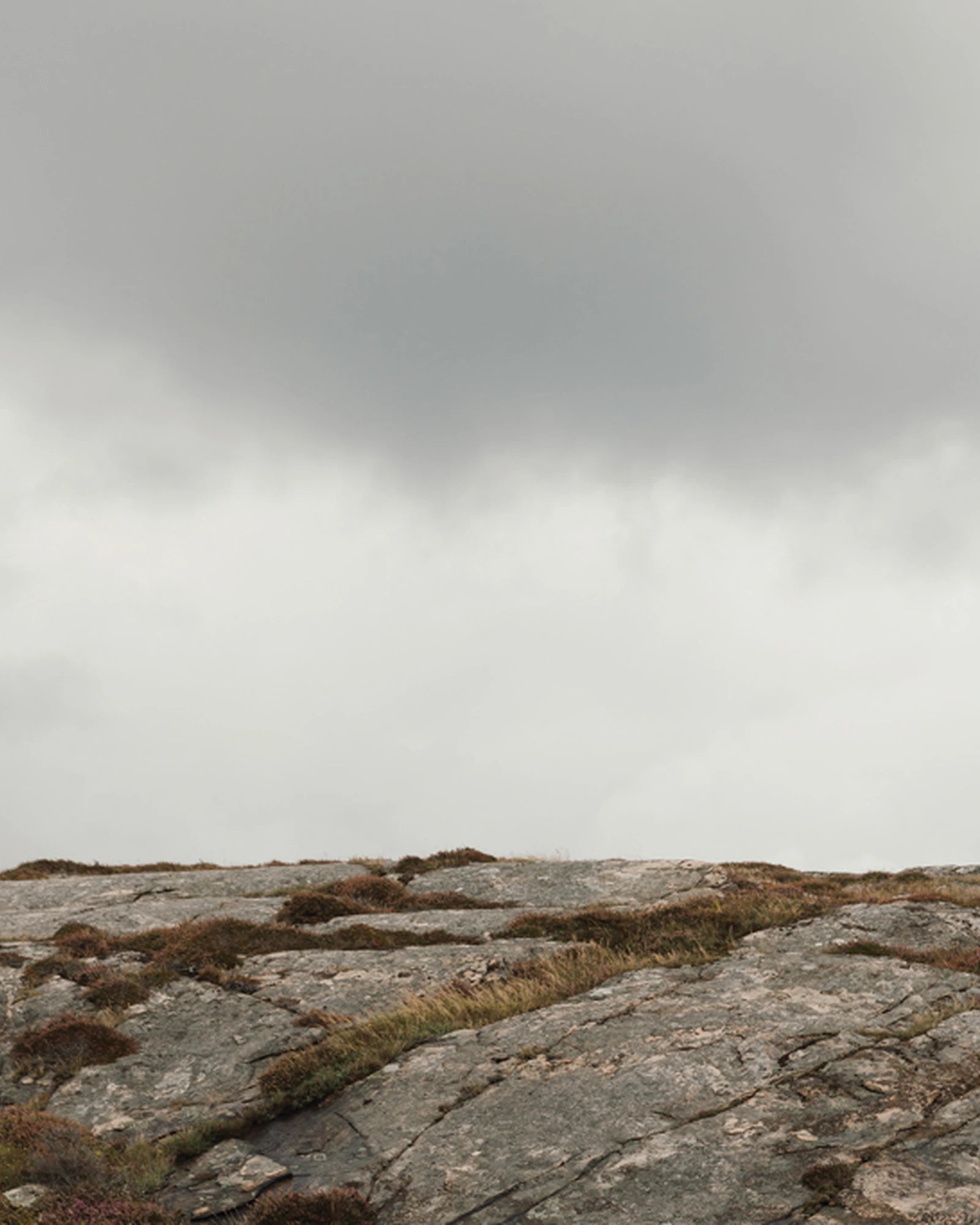 Regenschirm rPET AWARE™ Vinga Baltimore zum Personalisieren - 9