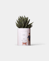 Zu 100% personalisierbarer Kaktus - Ay Cactus - 1