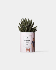 Zu 100% personalisierbarer Kaktus - Ay Cactus