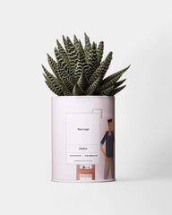 Zu 100% personalisierbarer Kaktus - Ay Cactus - 3